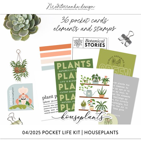 04-2025 | Houseplants