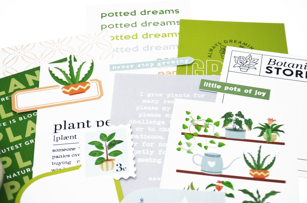 04-2025 | Houseplants - Image 10