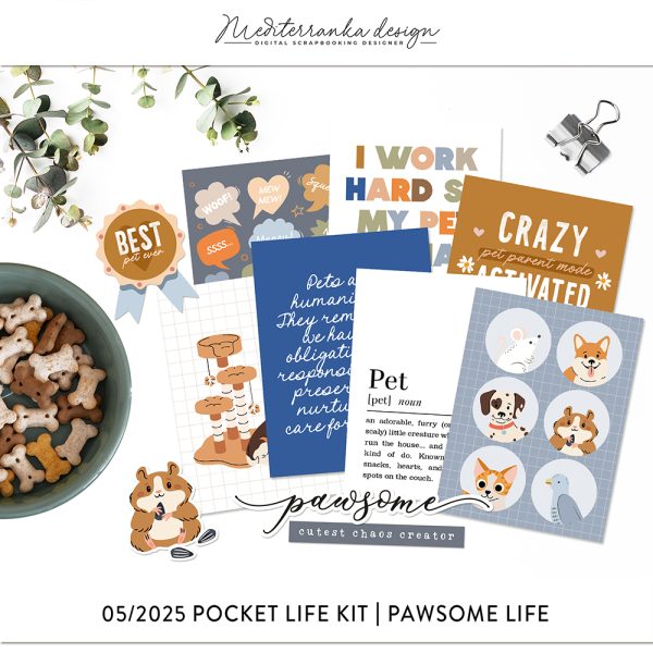 05-2025 | Pawsome life
