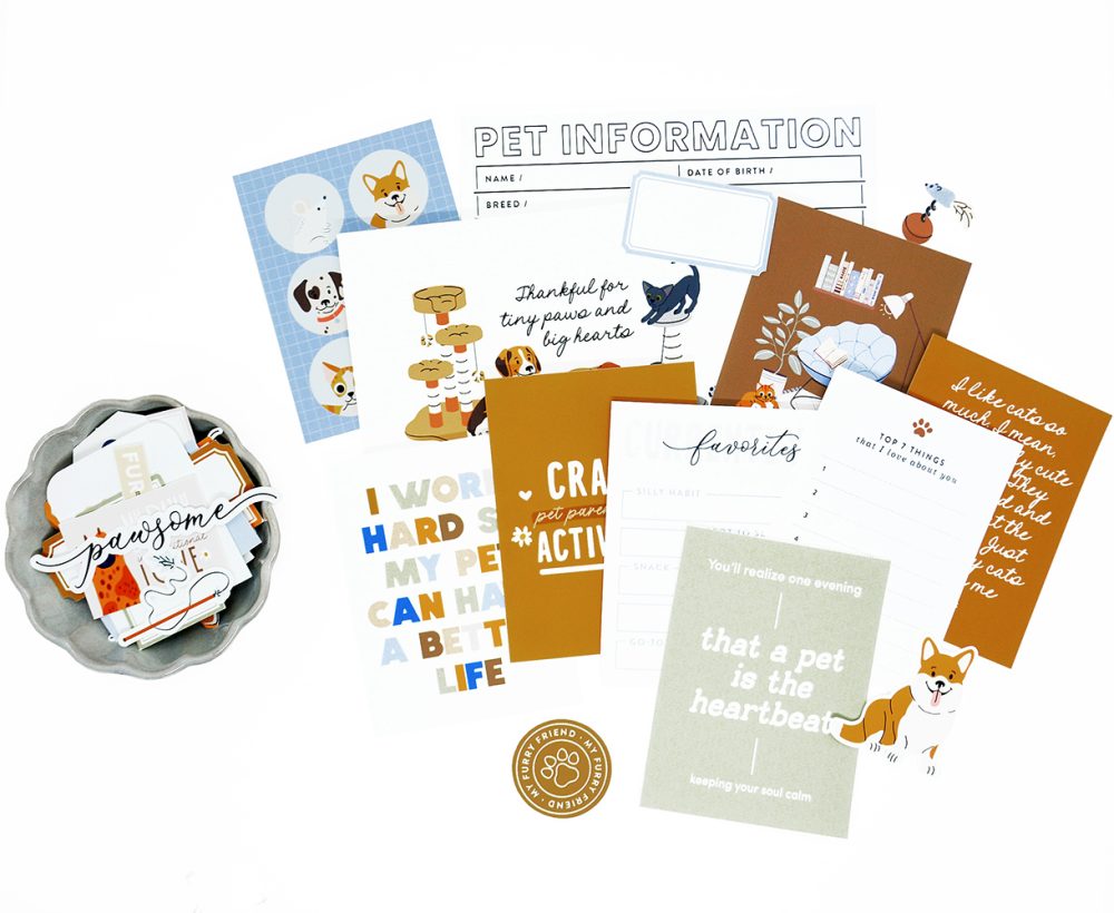 05-2025 | Pawsome life - Image 9