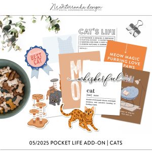 05-2025 | Cats