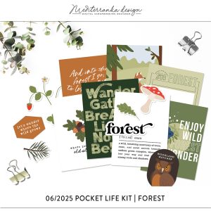 06-2025 | Forest