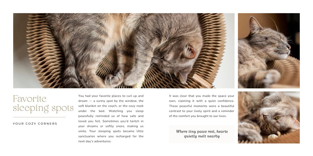 Pets storybook | 12x12 - Image 8