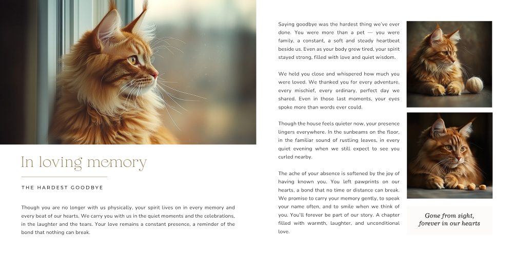 Pets storybook | 12x12 - Image 6