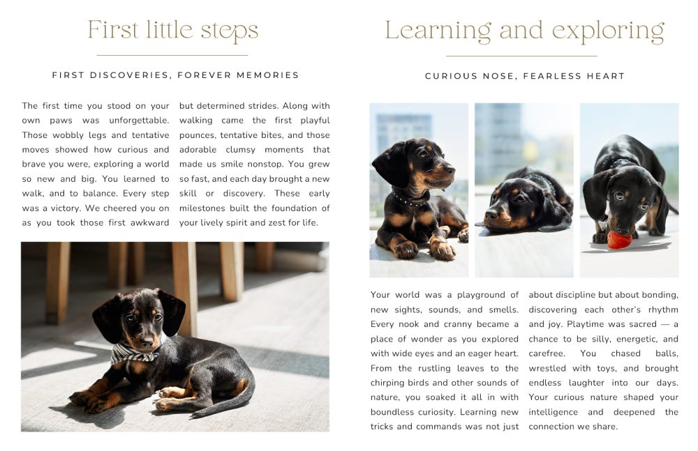 Pets storybook | 8.5x11 - Image 11