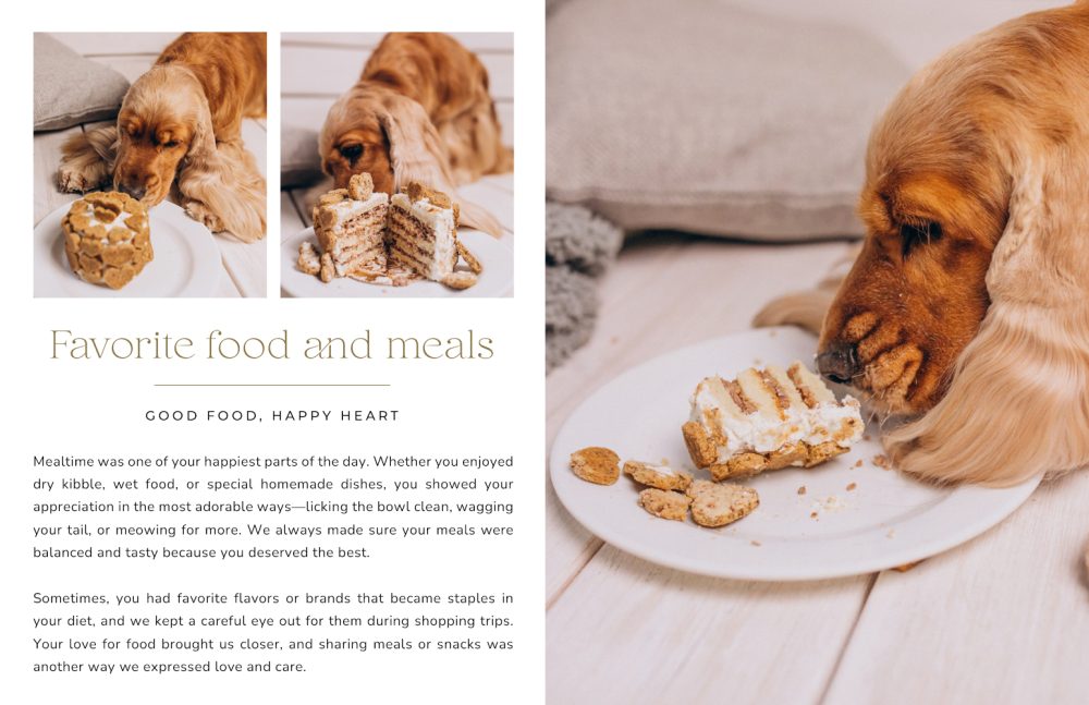 Pets storybook | 8.5x11 - Image 9