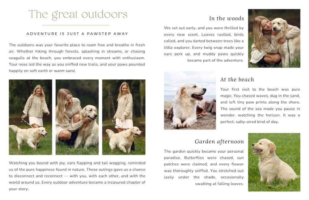 Pets storybook | 8.5x11 - Image 8