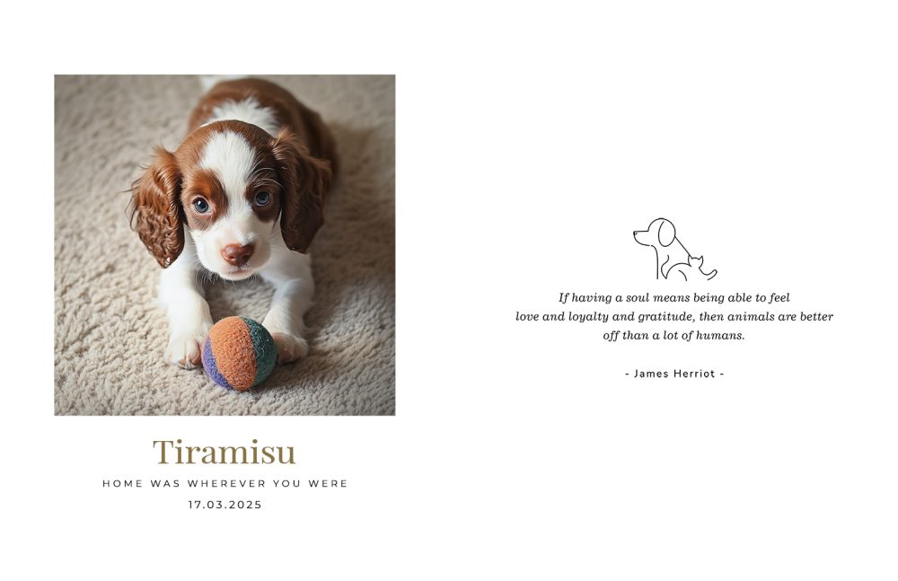 Pets storybook | 8.5x11 - Image 6