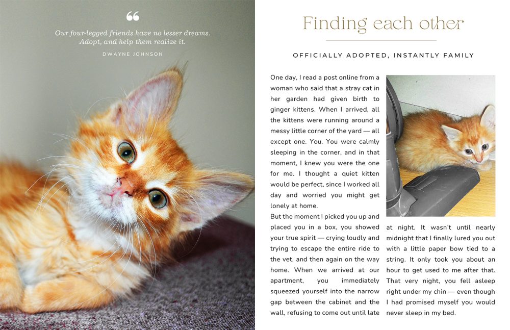 Pets storybook | 8.5x11 - Image 5