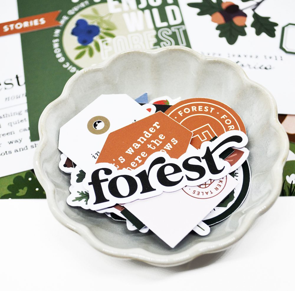 06-2025 | Forest - Image 9